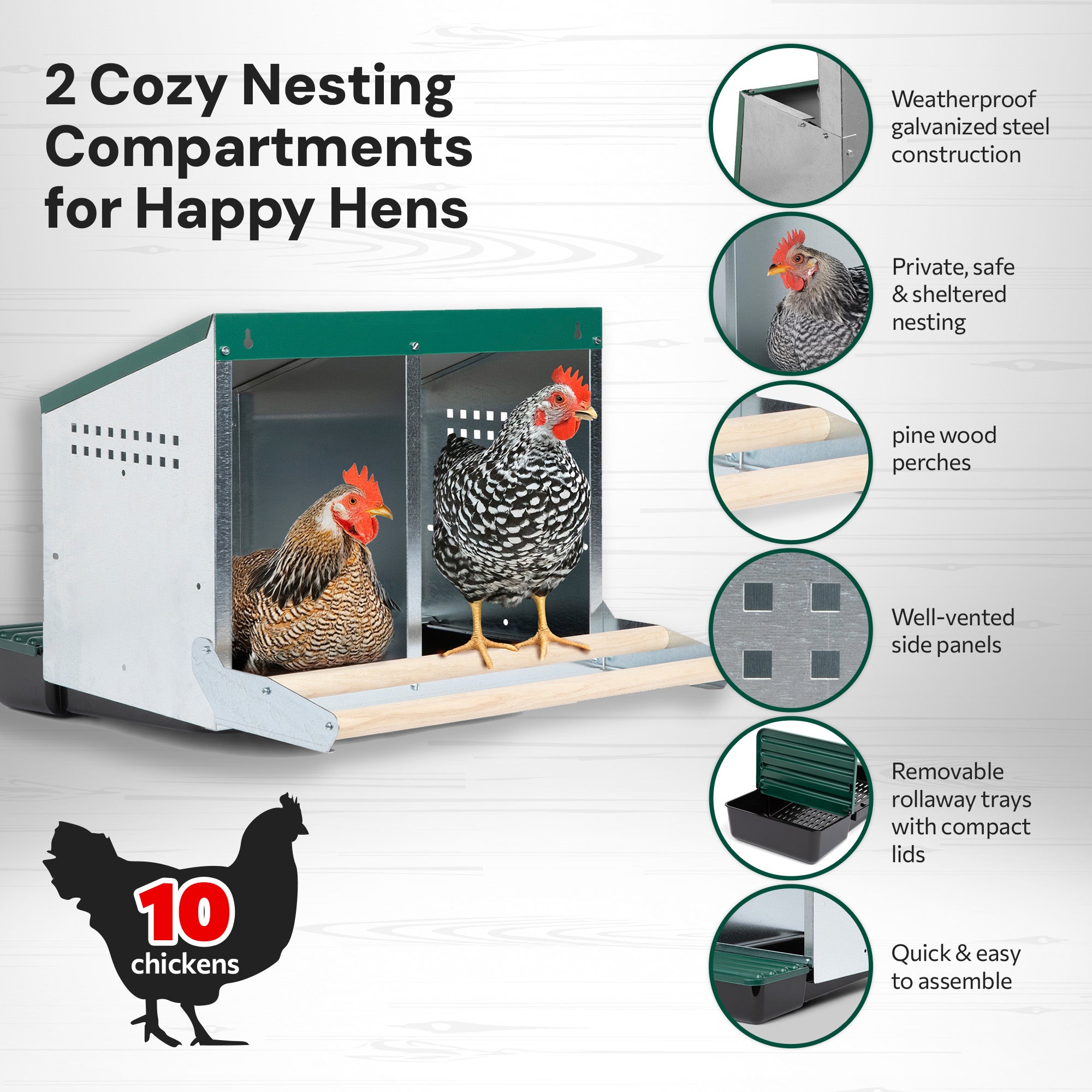 2 Compartment Reverse Roll Out Chicken Nesting Box with Compact Trays/Lids & Wood Perches