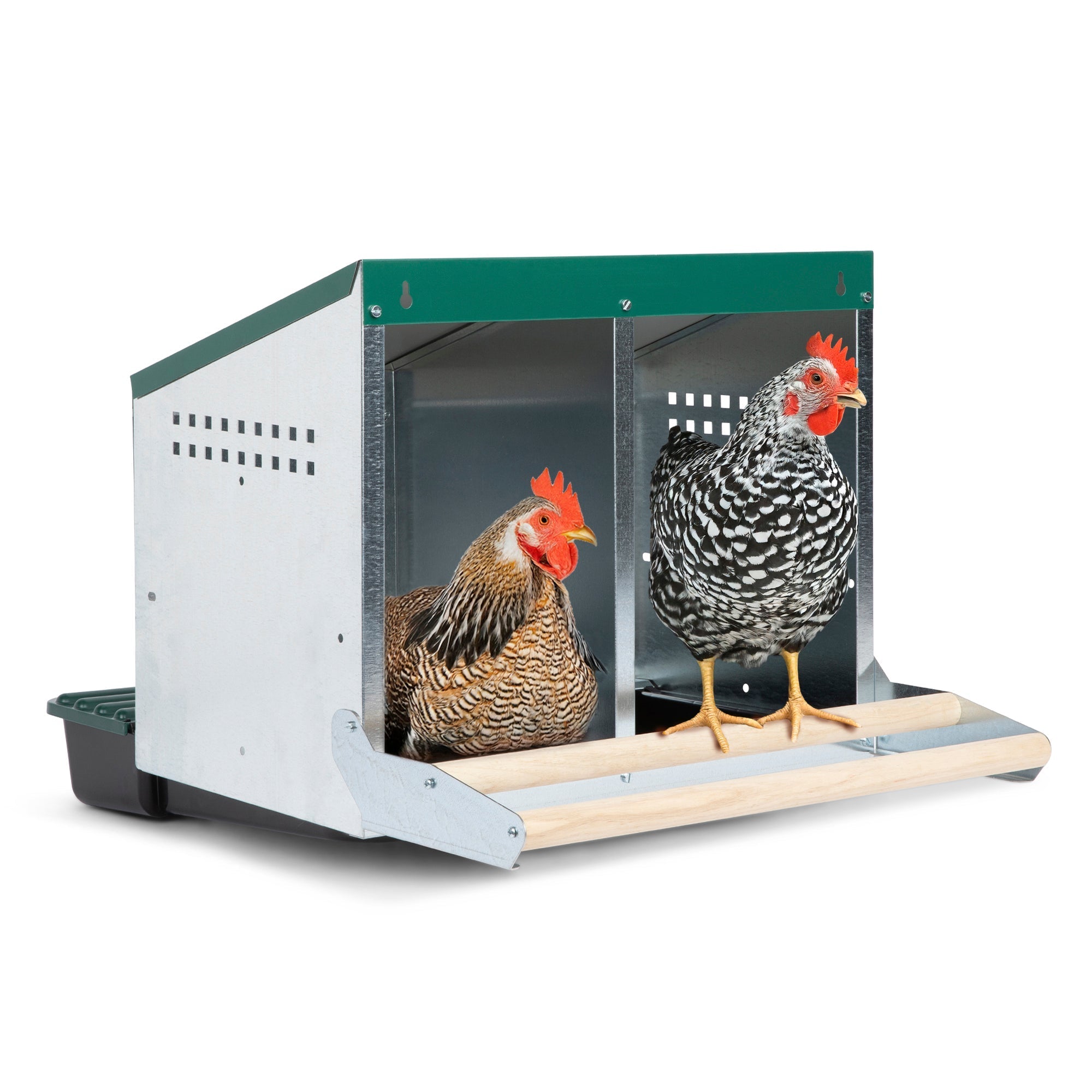 2 Compartment Reverse Roll Out Chicken Nesting Box with Compact Trays/Lids & Wood Perches