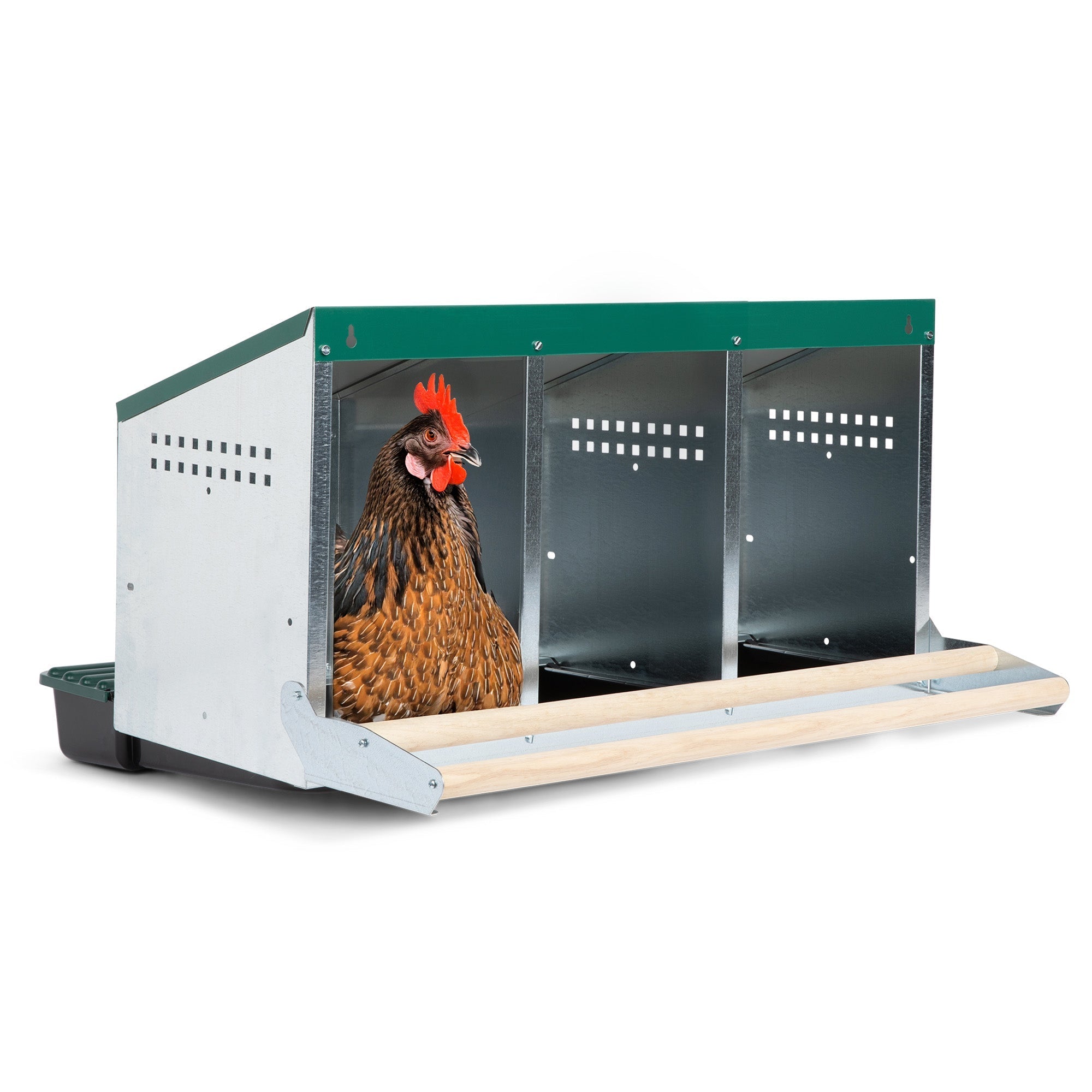 3 Compartment Reverse Roll Out Chicken Nesting Box with Compact Trays/Lids & Wood Perches